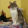 Отзыв от Ираида Алексеева